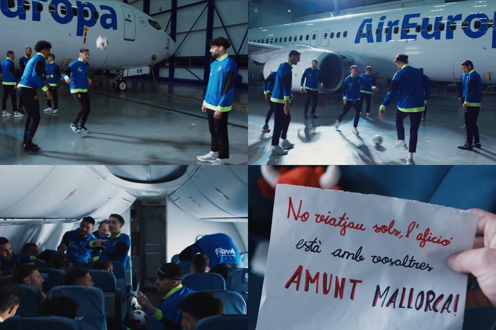 他的智慧與 他的智慧與