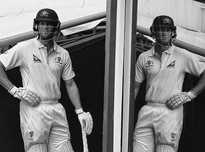 选择了一条 选择了一条