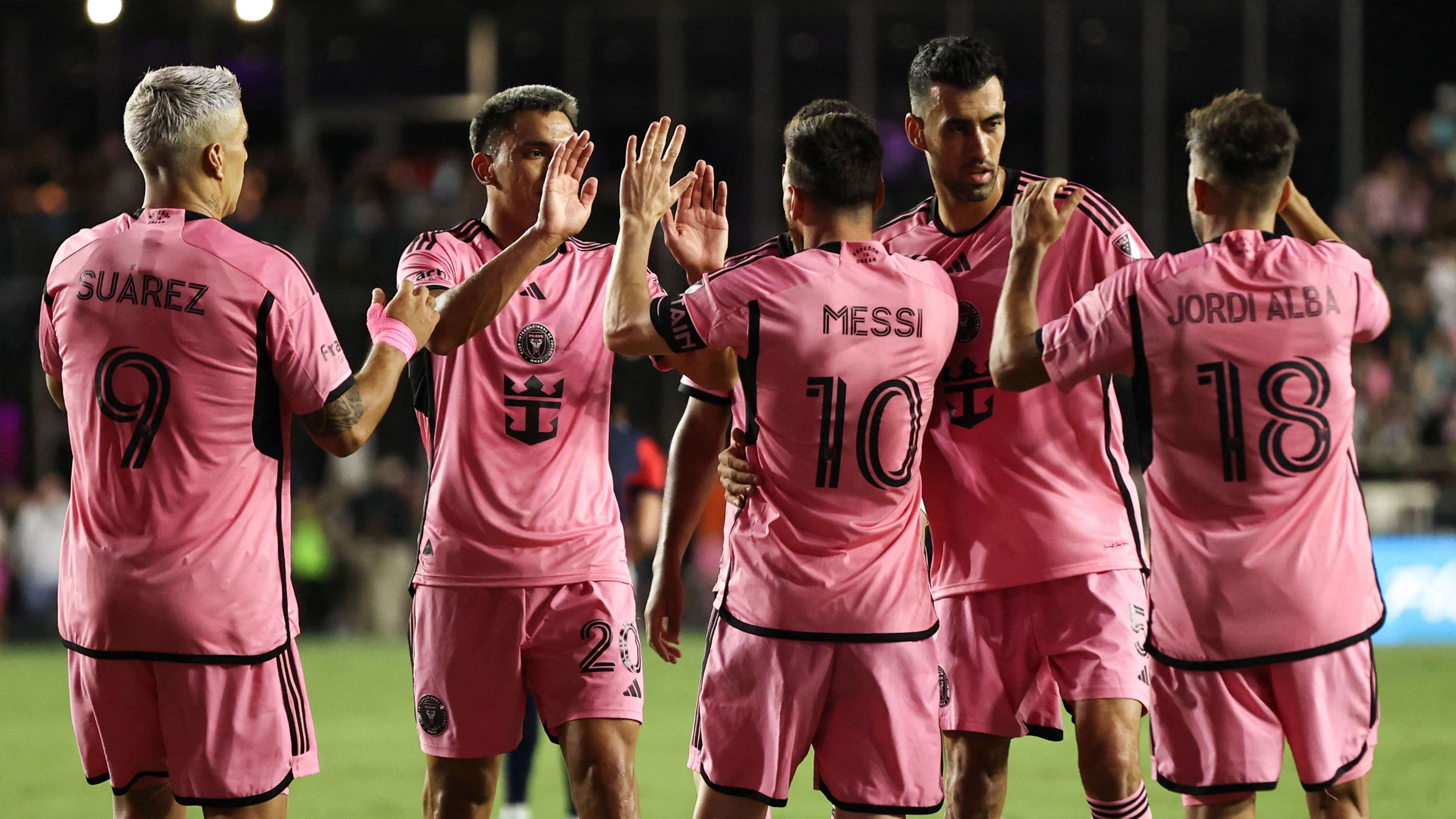 惊人的适应 惊人的适应